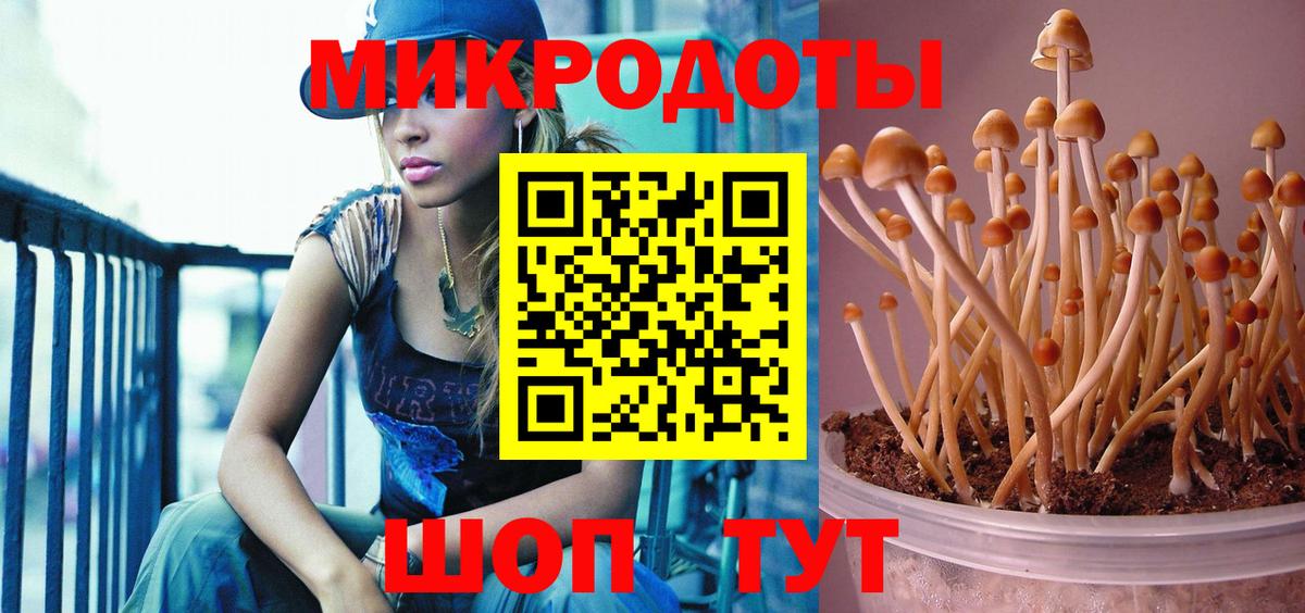 Галлюциногенные грибы прущие грибы  Вход с VPN  Минеральные Воды 