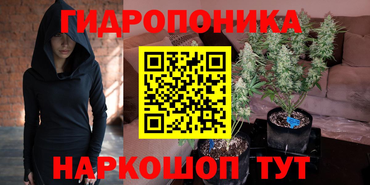 Каннабис индика Минеральные Воды